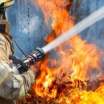 partial pic of fire fighter with fire hose in front of a wild fire